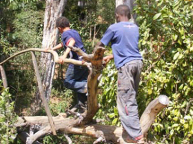 conservation