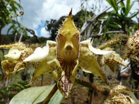 Papua New Guinea tours, tailormade