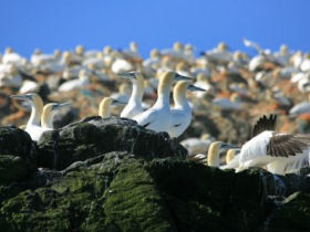 Wildlife holiday in Pembrokeshire, Wales