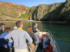 Wildlife holiday in Pembrokeshire, Wales