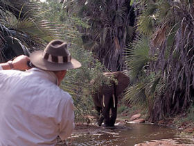 Kenya luxury safari and beach holiday