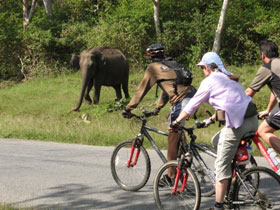 Kerala and tropical India cycling holidays