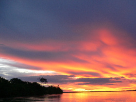 Wildlife conservation volunteering in the Amazon, Peru