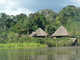 Chalalan Ecolodge in Madidi National Park