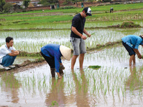 Hanoi to Ho Chi Minh holiday in Vietnam