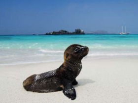Galapagos cruises by Responsible Travel