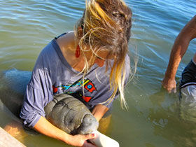 Marine conservation holiday in Belize
