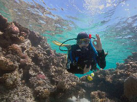 Learn to scuba dive in the Red Sea by Responsible Travel