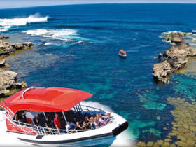Rottnest Island tours, Western Australia