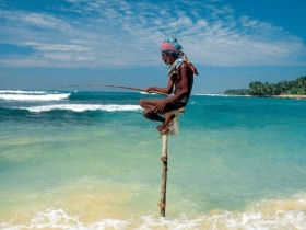 Small group holiday to Sri Lanka