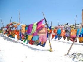 Kenyan safari & beach holiday