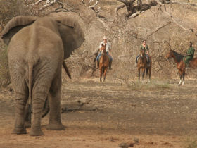 Horse riding & volunteering in South Africa