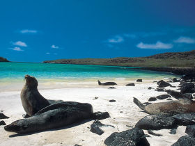 Galapagos holidays, Ecuador