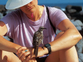 Galapagos 2 week cruise, Ecuador