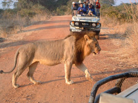Safari adventure holiday, Zambia, Malawi and Mozambique