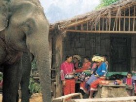 Thai hill tribe trek