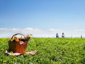 Cycling tour in Catalonia for food lovers, Spain 