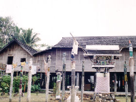 Borneo wildlife holiday, river cruise and longhouses