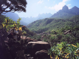 Yemen holiday in Socotra Island