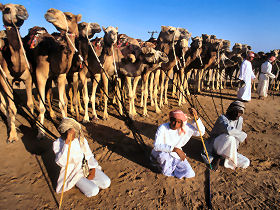 Luxury culture holiday in Oman