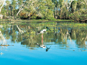 Kakadu to Uluru outback tour Australia