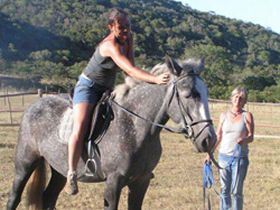 working with a young horse