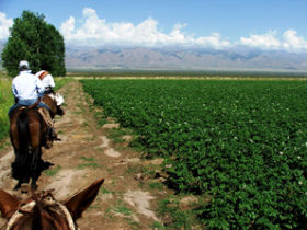 Argentina tailor made holiday, landscapes and culture