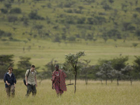 Wildlife safari and photography holiday in Kenya