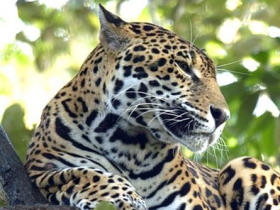 Belize holidays, tailor made 