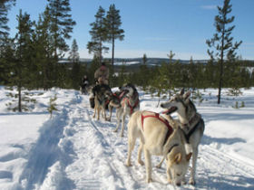 Northern Lights holiday, Finnish Lapland