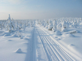 Ski touring holiday in Finland, Russian border