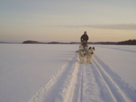 Tailor made husky safari in Wild Taiga, Finland