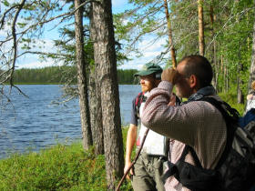 Observing birds