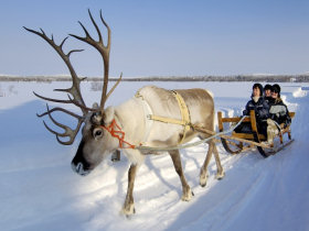 Winter activity holiday in Finland, Wild Taiga