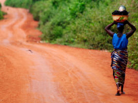 African Vacation