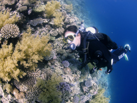 Family scuba diving holidays in the Red Sea by Responsible Travel