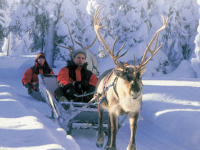 Family multi activity week in Finland