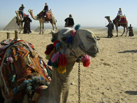 Istanbul to Cairo overland tour