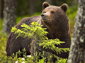 Cheap Holidays to Finland family summer holiday from 1,139 GBP provided by Responsible Travel