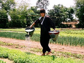 Vietnam Central Highland tour
