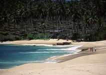 Sri Lanka classic tour by Responsible Travel