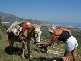 Self guided walking tours in Andalucia