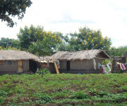 Community project in Malawi_villagehomes