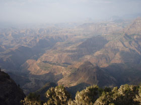 wildlife in ethiopia