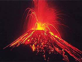 Costa Rica wildlife holiday, tailor made