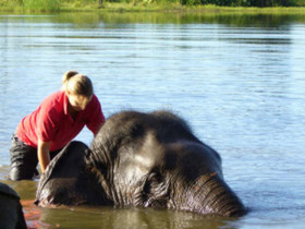 Elephant conservation holiday, Thailand by Responsible Travel