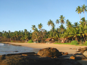 Family tour to Sri Lanka