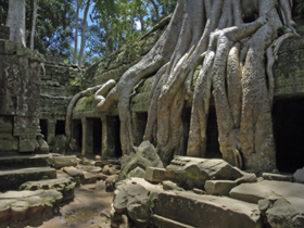 Cambodia photography holiday