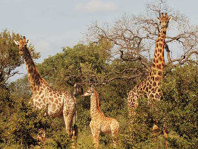 Southern Africa overland and volunteering by Responsible Travel