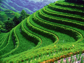 China tour, Shanghai to Beijing by Responsible Travel